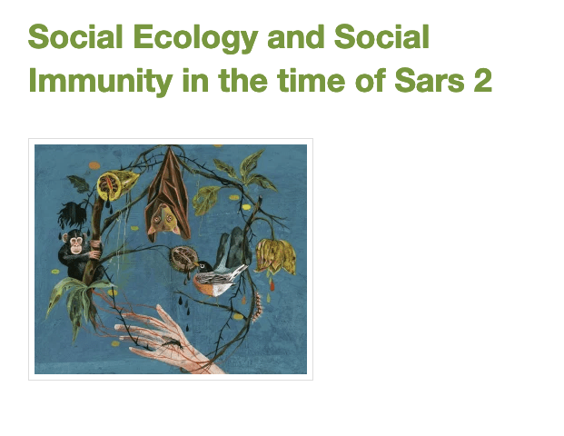 Social Ecology and Social Immunity in the time of Sars 2